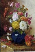 unknow artist Floral, beautiful classical still life of flowers.111 oil on canvas